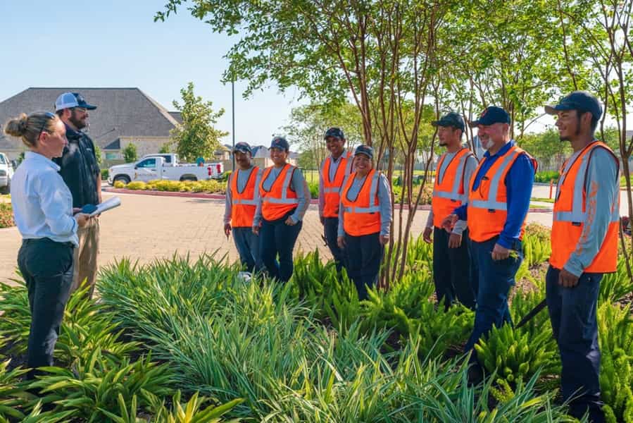 Commercial Landscaping in Houston